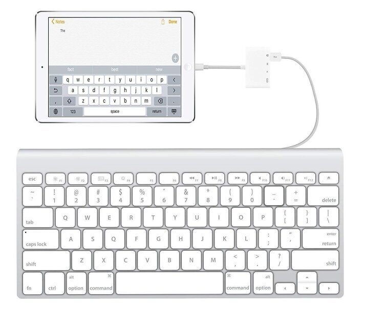 Adapteris karšu lasītājs Lightning micro SD USB iPhone cena un informācija | Adapteri un USB centrmezgli | 220.lv