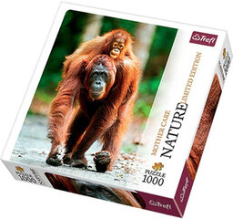 Puzzle 349 орангутан/ *1000шт цена и информация | Пазлы | 220.lv