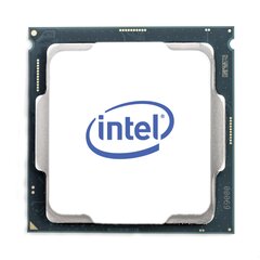 Процессор Intel Xeon E-2234 3,6 ГГц Box 8 МБ цена и информация | Процессоры (CPU) | 220.lv