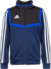 Adidas ДжемперFl Cb Hd Blue Red цена и информация | Свитеры, жилетки, пиджаки для мальчиков | 220.lv