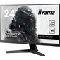 Iiyama G2450HSU-B1 cena un informācija | Monitori | 220.lv