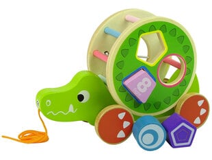 Koka šķirotājs ar auklu Lean Toys krokodils, zaļš cena un informācija | Rotaļlietas zīdaiņiem | 220.lv