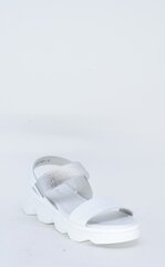 Босоножки женские Laura Berti 23918292.41 цена и информация | Женские сандалии Libra Pop, чёрные | 220.lv