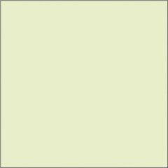 Акриловая краска C9, 300 мл цена и информация | Принадлежности для рисования, лепки | 220.lv