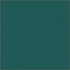 Акриловая краска E1, 300 мл цена и информация | Принадлежности для рисования, лепки | 220.lv