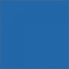 Акриловая краска H1, 300 мл цена и информация | Принадлежности для рисования, лепки | 220.lv