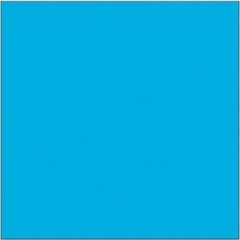 Акриловая краска O6, 300 мл цена и информация | Принадлежности для рисования, лепки | 220.lv