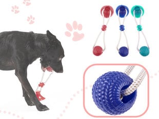Игрушка для собаки - мячик цена и информация | Игрушки для собак | 220.lv