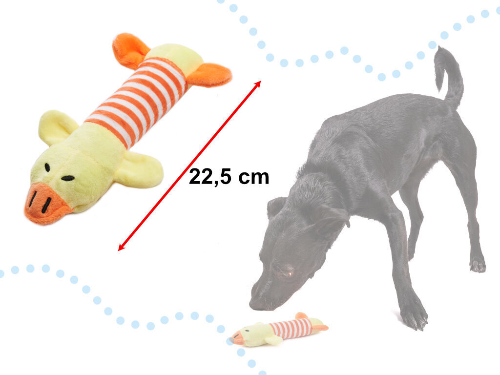 Suņu plīša rotaļlieta - pīle cena un informācija | Suņu rotaļlietas | 220.lv