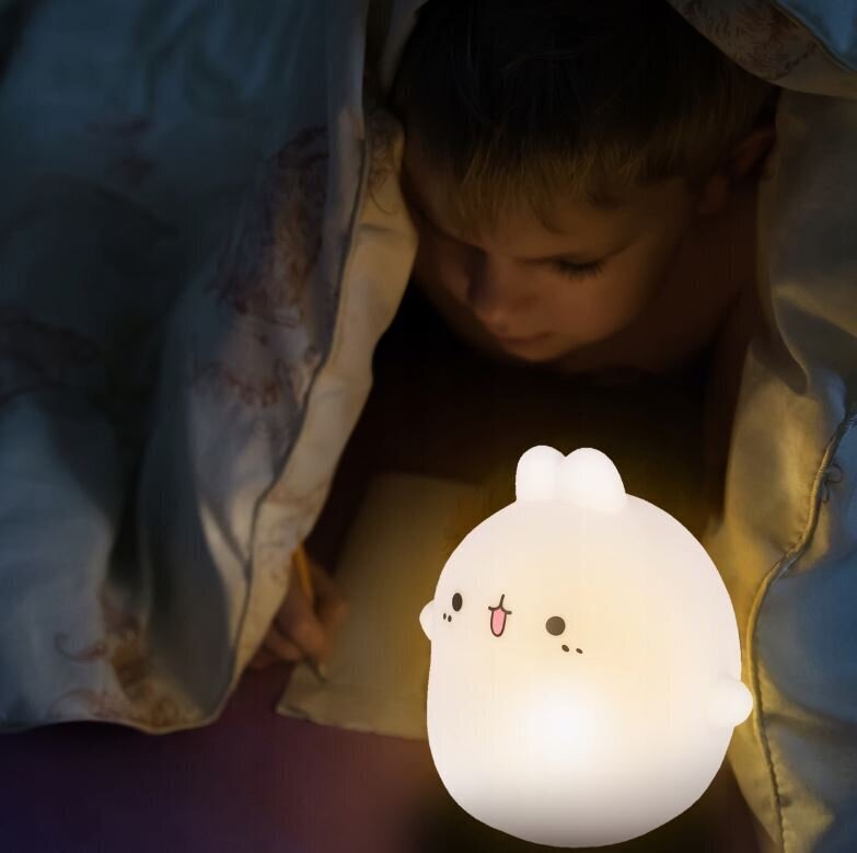 Led lampa bērniem ar tālvadības pulti cena un informācija | Lampas bērnu istabai | 220.lv