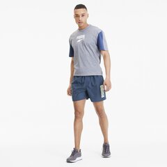 Puma мужские шорты 843727*43, тёмно-синий цена и информация | Мужская спортивная одежда | 220.lv