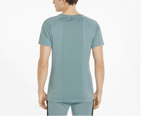 Puma T-Krekli Rtg Tee Mineral Green 585827 50 585827 50/M цена и информация | Мужские футболки | 220.lv