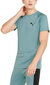 Puma T-Krekli Rtg Tee Mineral Green 585827 50 585827 50/M цена и информация | Vīriešu T-krekli | 220.lv