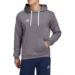 Adidas Džemperi Ent22 Hoody Grey HB0578 цена и информация | Мужская спортивная одежда | 220.lv