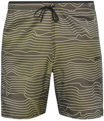 Reebok Šorti Ts Speed 2.0 Aop Short Green H46611 H46611/S cena un informācija | Vīriešu šorti | 220.lv