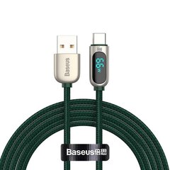 Baseus Display Cable USB to Type-C, 66W, 1m (green) цена и информация | Кабели для телефонов | 220.lv