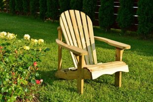 Vienvietīgais krēsls atpūtai un relaksācijai. cena un informācija | Dārza krēsli | 220.lv