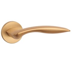 Дверная ручка APRILE Robinia R7S, золотой матовый цена и информация | Дверные ручки | 220.lv
