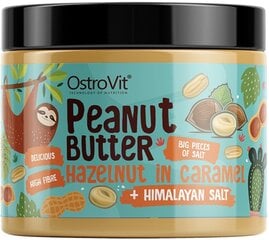 Ostrovit Zemesriekstu sviests + Lazdu rieksti karamelē + Himalaju sāls 500 g цена и информация | Функциональные продукты питания (суперфуд) | 220.lv