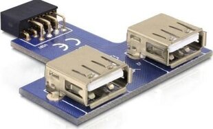 Delock 41824, 9 pin/USB-A цена и информация | Кабели и провода | 220.lv