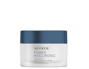 Питательный крем для лица Skeyndor Power Hyaluronic, 50 мл цена и информация | Наносите на чистую кожу лица. Подержите около 10-15 минут и смойте водой. | 220.lv