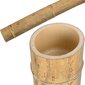 Bambusa stabs MOSO 150 cm 9-10 cm цена и информация | Dārza dekori | 220.lv