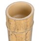 Bambusa stabs MOSO 150 cm 9-10 cm цена и информация | Dārza dekori | 220.lv