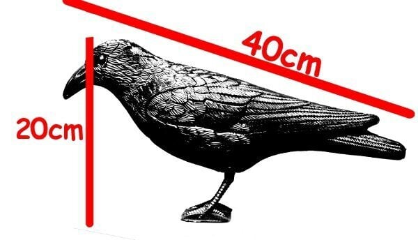 Vārna - putnu atbaidīšanas līdzeklis cena un informācija | Dārza dekori | 220.lv