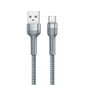 Remax USB - USB Type C cable charging data transfer 2,4 A 1 m silver (RC-124a silver) цена и информация | Savienotājkabeļi | 220.lv