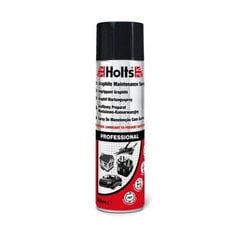 HOLTS Grafīta aerosols (darva) 500ml cena un informācija | Auto ķīmija | 220.lv