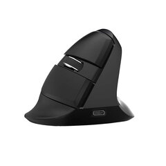 Delux Wireless 2.4G+BT Ergonomic Mouse M618Mini cena un informācija | Peles | 220.lv