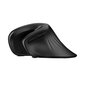 Wireless Vertical Mouse Dareu LM109 Magic Hand Bluetooth + 2.4G (black) цена и информация | Peles | 220.lv