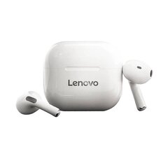 Lenovo LP40 TWS earphones (White) цена и информация | Наушники | 220.lv