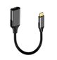 USB-C DisplayPort 1.2 sieviešu 4K 60HZ adaptera kabelis cena un informācija | Adapteri un USB centrmezgli | 220.lv