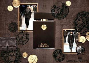 Туалетная вода Dolce & Gabbana The One Collector's Edition edt 50 мл цена и информация | Мужские духи | 220.lv