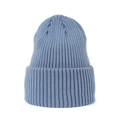 Art of Polo Cepure | gaiši zils cz21809-3 cena un informācija | Vīriešu cepures, šalles, cimdi | 220.lv