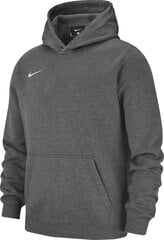 Džemperis zēniem Nike Team Club 19 Fleece Hoodie PO 147 cm ( AJ1544 071 ) цена и информация | Свитеры, жилетки, пиджаки для мальчиков | 220.lv