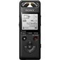 Sony Digitālais rakstītājs PCM-A10 cena un informācija | Diktofoni | 220.lv