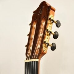 Camps SP-6-C классическая гитара цена и информация | Гитары | 220.lv