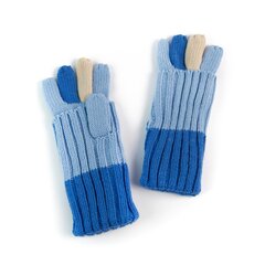 Перчатки Art of Polo | синие rk2610-1 цена и информация | Женские перчатки | 220.lv