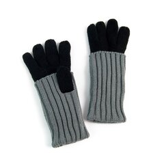 Перчатки Art of Polo | черные, серые rk2610-8 цена и информация | Женские перчатки | 220.lv