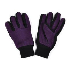 Перчатки Art of Polo | фиолетовые rk1686-2 цена и информация | Женские перчатки | 220.lv