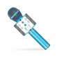 Bezvadu Bluetooth mikrofona skaļrunis fm radio цена и информация | Attīstošās rotaļlietas | 220.lv