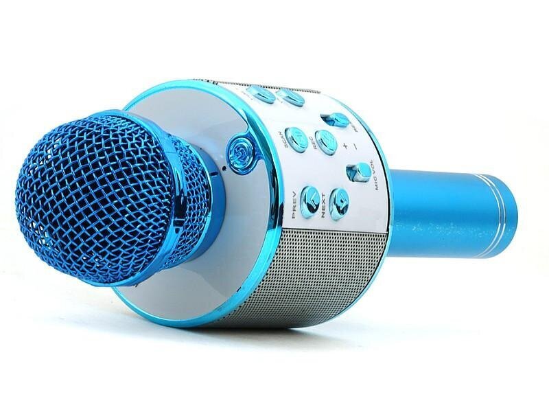 Bezvadu Bluetooth mikrofona skaļrunis fm radio цена и информация | Attīstošās rotaļlietas | 220.lv