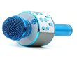 Bezvadu Bluetooth mikrofona skaļrunis fm radio cena un informācija | Attīstošās rotaļlietas | 220.lv