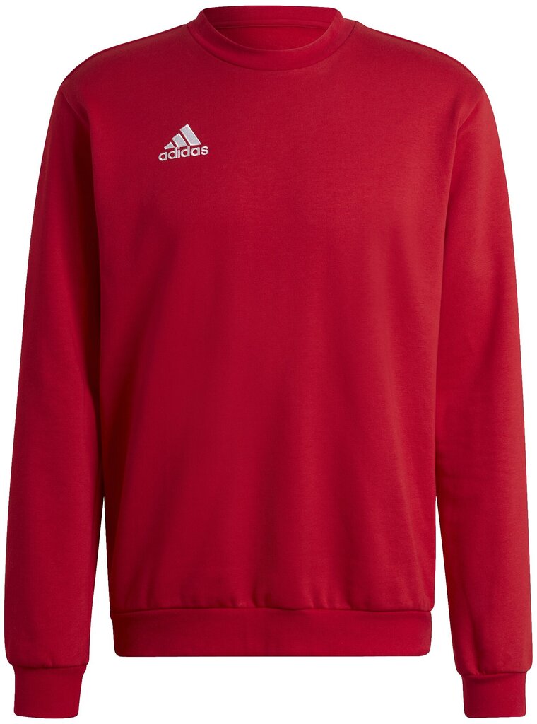 Adidas Džemperi Ent22 Sweat Top Red HB0577 cena un informācija | Sporta apģērbs vīriešiem | 220.lv