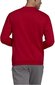 Adidas Džemperi Ent22 Sweat Top Red HB0577 цена и информация | Sporta apģērbs vīriešiem | 220.lv