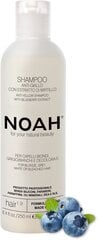 Dzelteno nokrāsu neitralizējošs šampūns 1.9. Anti-Yellow Shampoo, 250 ml cena un informācija | Šampūni | 220.lv