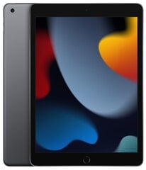 Apple iPad 9 kartos, 10.2", Wi-Fi, 256GB, pilkas цена и информация | Планшеты | 220.lv