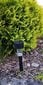 Dārza lampa Saska Garden 4.7 x 30.5 cm, 1 LED cena un informācija | Āra apgaismojums | 220.lv